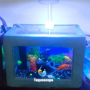 2025-12-22-15-06-26-212 đ Petit Aquarium 30 Litres DĂ©cor Pierre / BĂ©ton