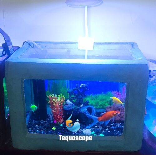 🐠 Petit Aquarium 30 Litres Décor Pierre / Béton