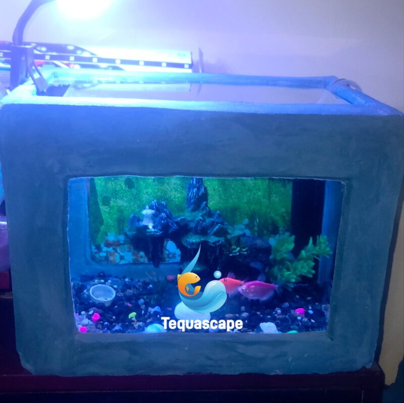 2025-12-22-15-13-21-170 đ Petit Aquarium 30 Litres DĂ©cor Pierre / BĂ©ton