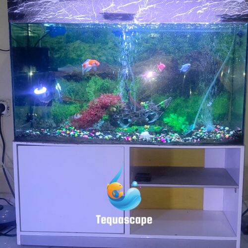 Aquarium 120 Litres Complet avec Meuble et Poissons | AQ120AM001