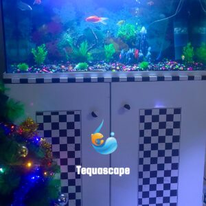 Très Grand Aquarium 250 Litres Complet avec Meuble