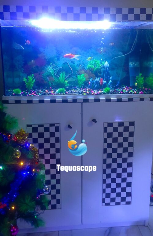 Très Grand Aquarium 250 Litres Complet avec Meuble