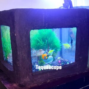🐠 Nano Aquarium 18 Litres Décor Pierre / Béton