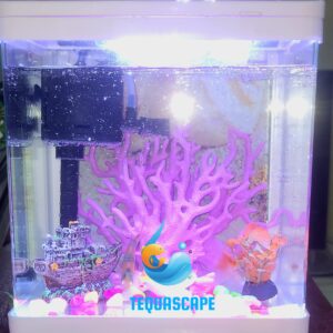 2026-06-03-01-23-02-285 Nano Aquarium 4L Complet avec Poissons