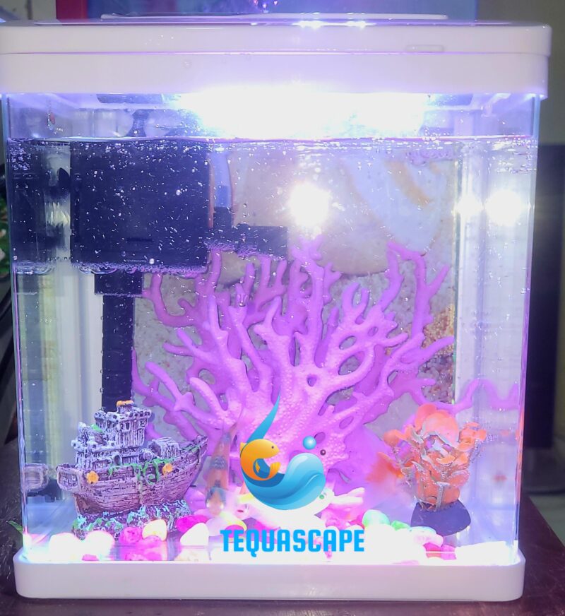 2026-06-03-01-23-02-285 Nano Aquarium 4L Complet avec Poissons