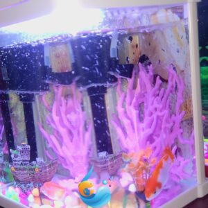 2026-06-03-01-24-32-907 Nano Aquarium 4L Complet avec Poissons