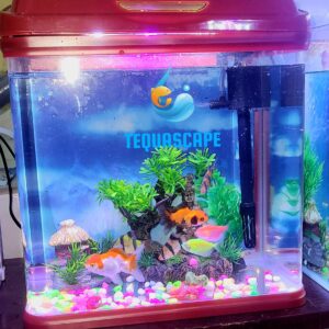 2026-06-03-01-27-42-181 Nano Aquarium 15 litres Complet avec poissons