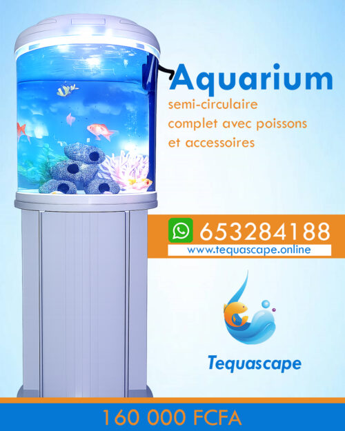 Aquarium 30 Litres Complet avec Meuble et Poissons | AQP030AM001