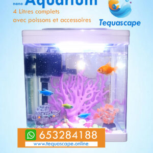 Nano Aquarium 4 litres Complet avec poissons