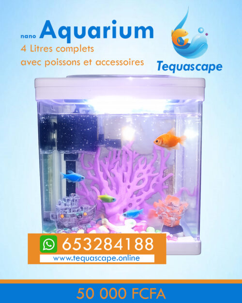Nano Aquarium 4 litres Complet avec poissons