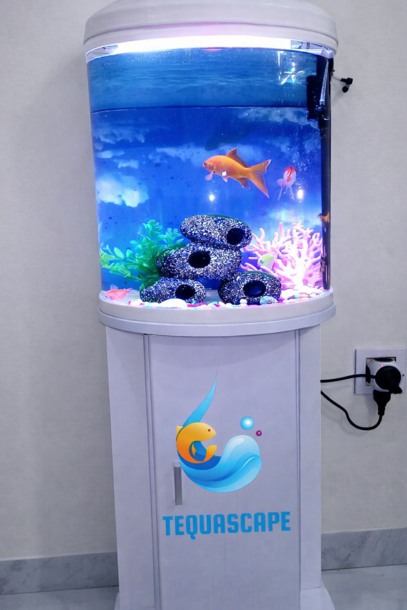 Aquarium 30 Litres Complet avec Meuble et Poissons | AQP030AM001