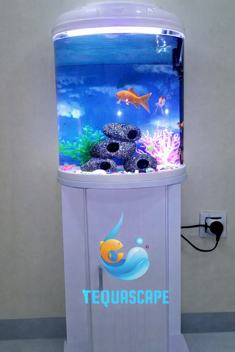 Aquarium 30 Litres Complet avec Meuble et Poissons | AQP030AM001