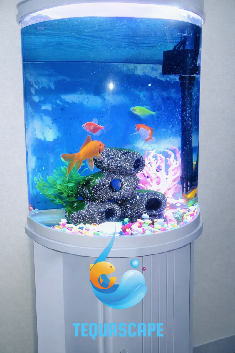 Aquarium 30 Litres Complet avec Meuble et Poissons | AQP030AM001